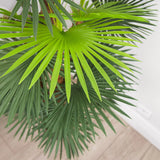 Faux Botanical Outdoor Green Fortune Palm Tree