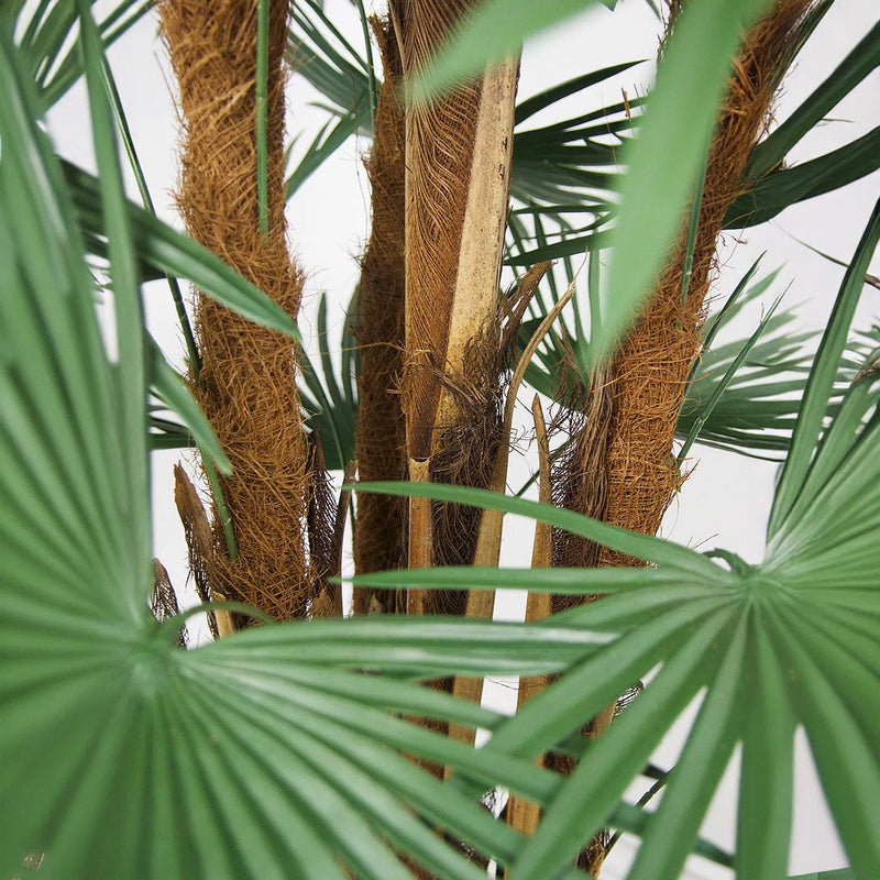 Faux Botanical Outdoor Green Fortune Palm Tree