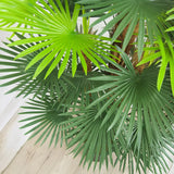 Faux Botanical Outdoor Green Fortune Palm Tree