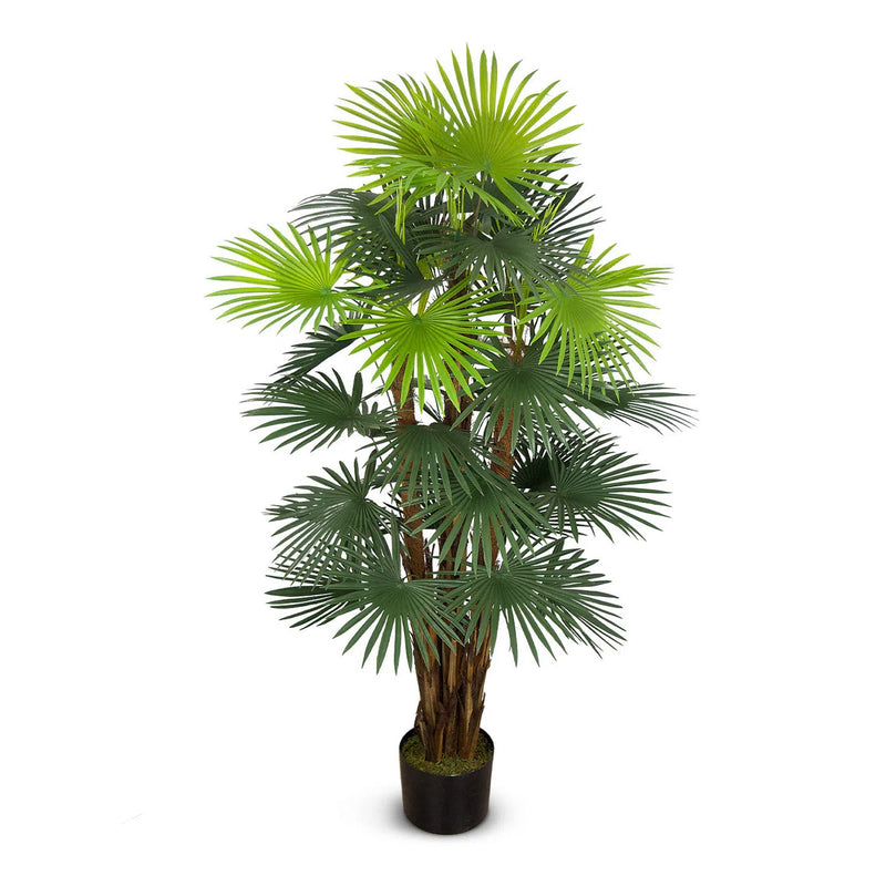 Faux Botanical Outdoor Green Fortune Palm Tree