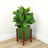 Faux Botanical Outdoor Green Fiddle Leaf Fig Tree