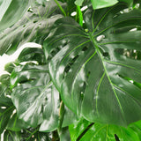 Faux Botanical Outdoor Green Monstera