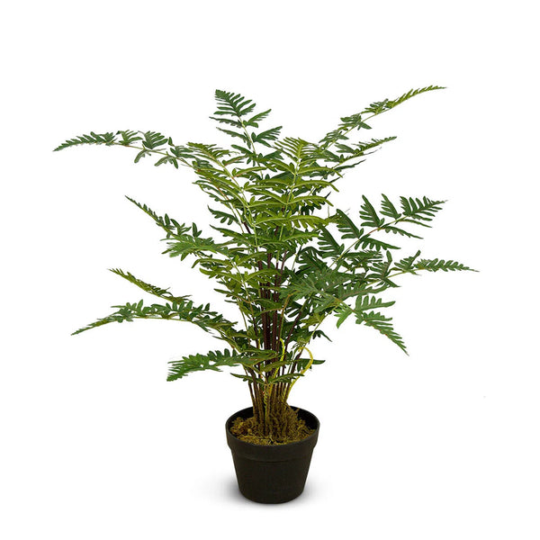 Faux Botanical Indoor Green Fern