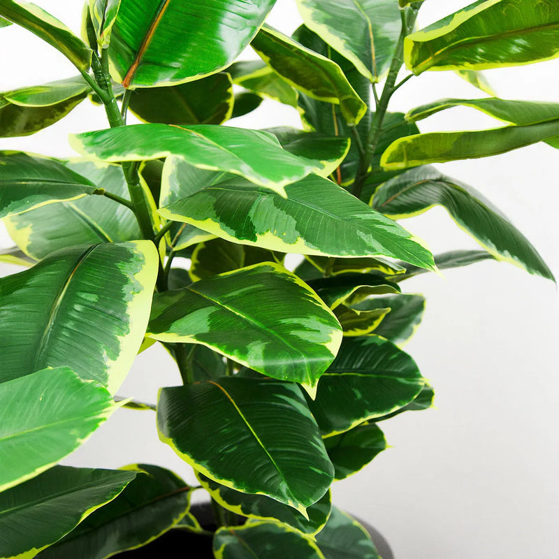 Faux Botanical Indoor Green Ficus Elastica