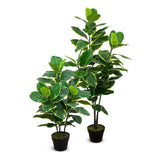 Faux Botanical Indoor Green Ficus Elastica