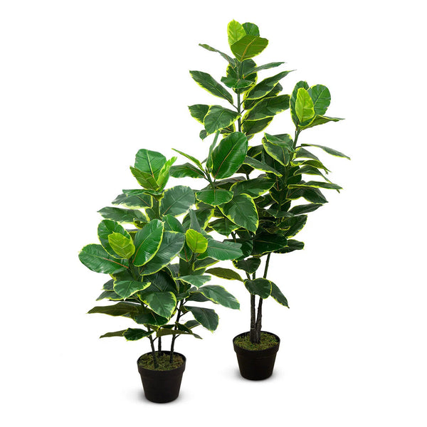 Faux Botanical Indoor Green Ficus Elastica