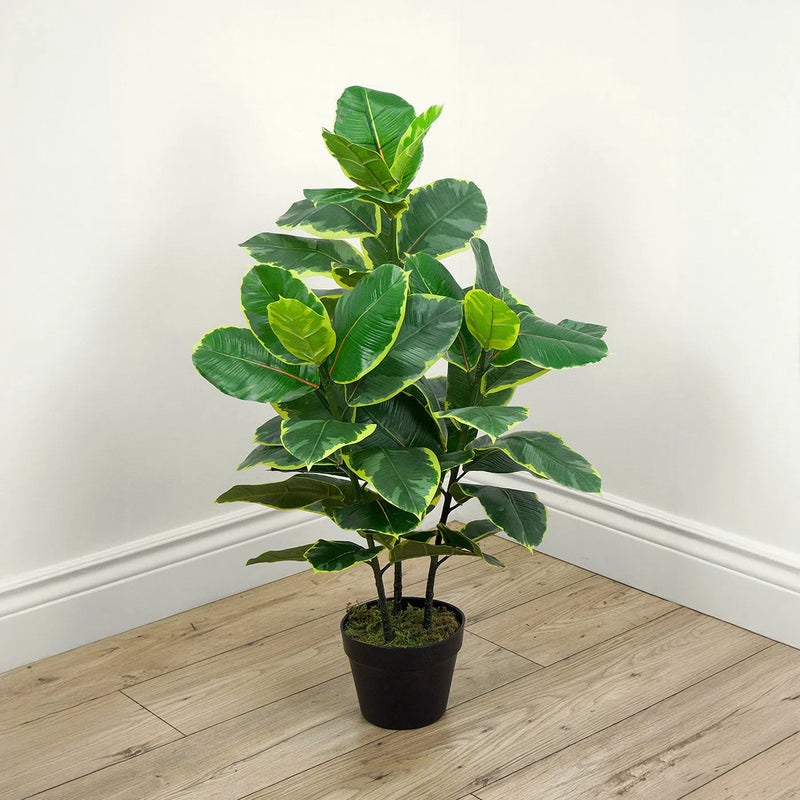 Faux Botanical Indoor Green Ficus Elastica