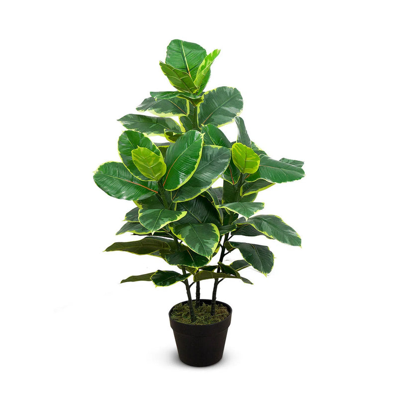 Faux Botanical Indoor Green Ficus Elastica