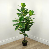 Faux Botanical Indoor Green Ficus Elastica