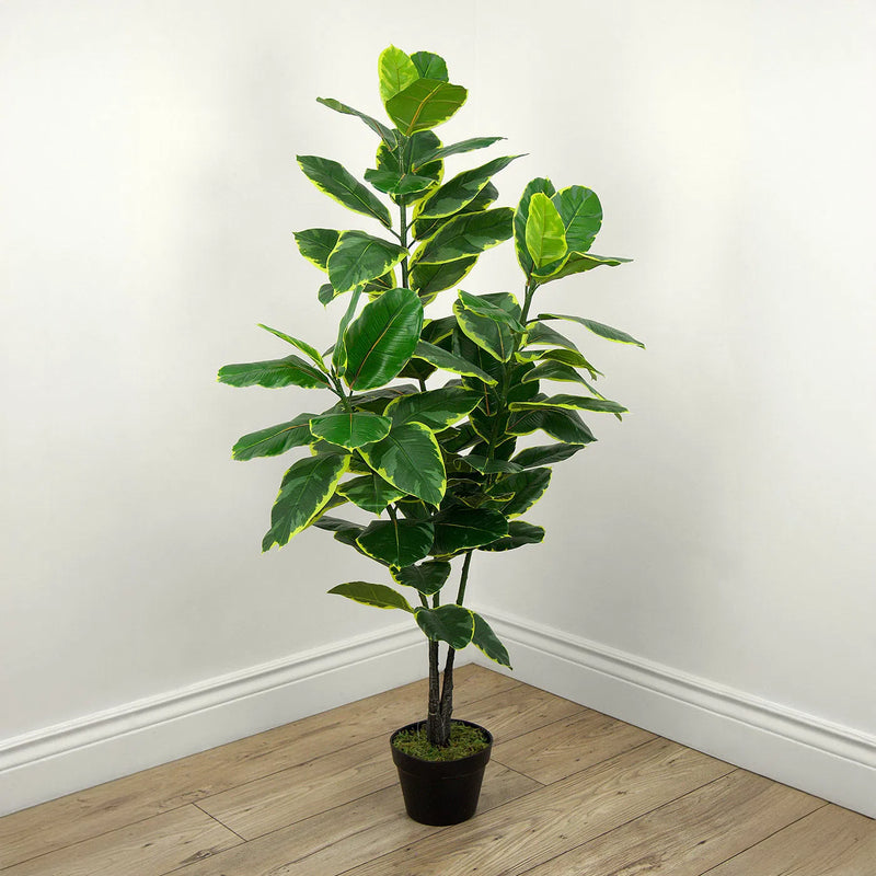 Faux Botanical Indoor Green Ficus Elastica