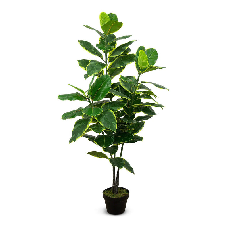 Faux Botanical Indoor Green Ficus Elastica