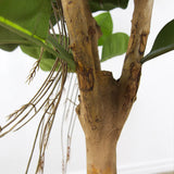 Faux Botanical Indoor Green Ficus Elastica