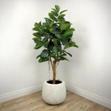 Faux Botanical Indoor Green Ficus Elastica