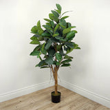 Faux Botanical Indoor Green Ficus Elastica