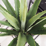 Faux Botanical Outdoor Green Giant Agave