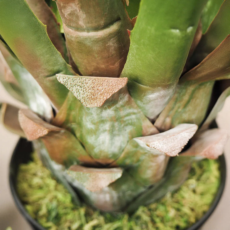 Faux Botanical Outdoor Green Giant Agave