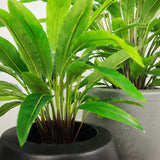 Faux Botanical Outdoor Green Calathea