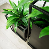 Faux Botanical Outdoor Green Calathea