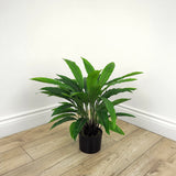 Faux Botanical Outdoor Green Calathea