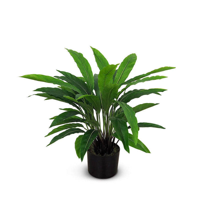 Faux Botanical Outdoor Green Calathea