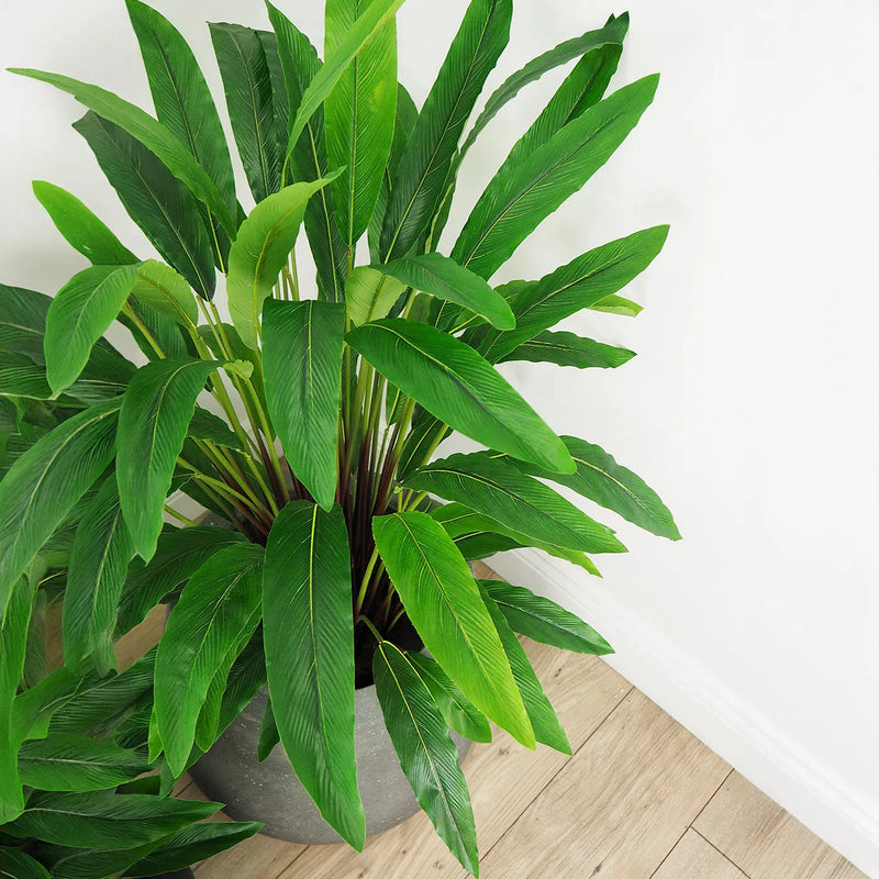 Faux Botanical Outdoor Green Calathea