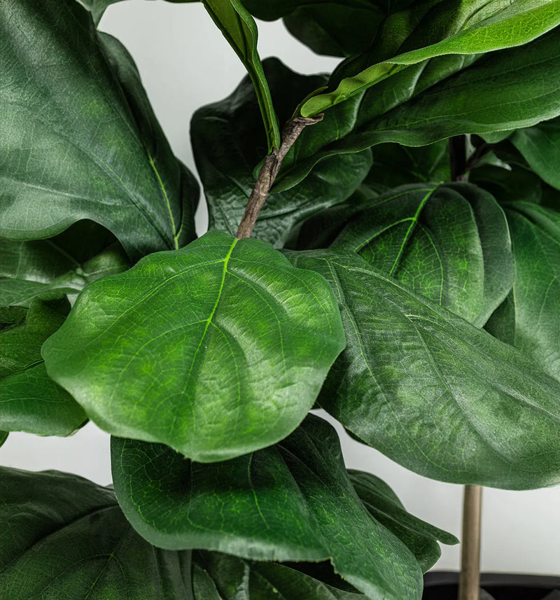 Faux Botanical Outdoor Green Fiddle Leaf Fig Tree