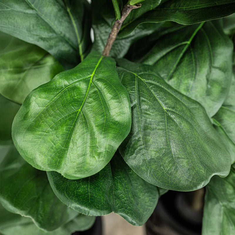 Faux Botanical Outdoor Green Fiddle Leaf Fig Tree