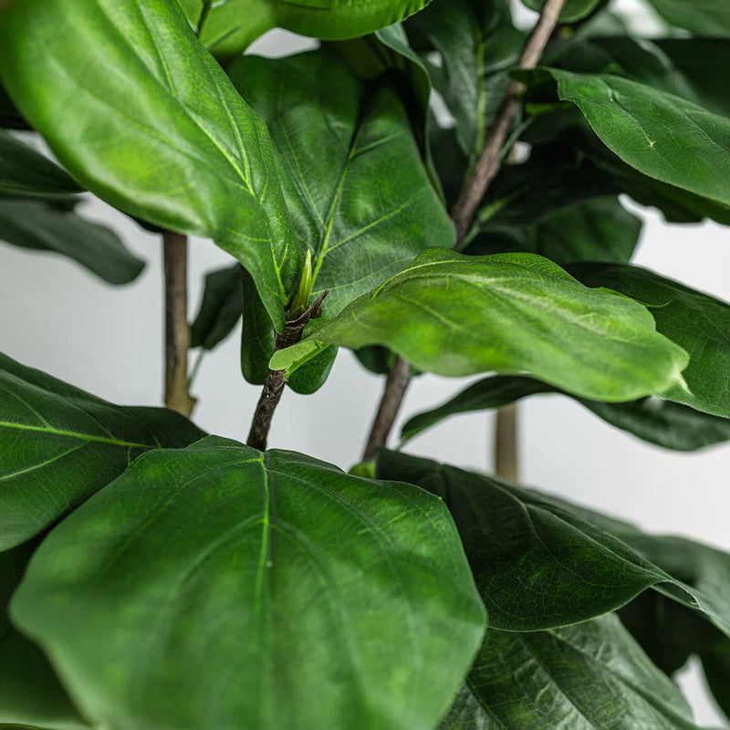 Faux Botanical Outdoor Green Fiddle Leaf Fig Tree