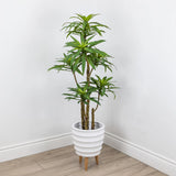 Faux Botanical Indoor Green Dracaena