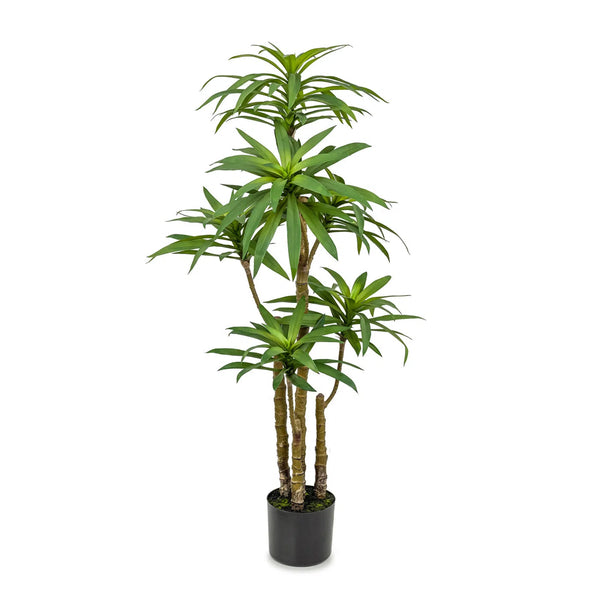 Faux Botanical Indoor Green Dracaena