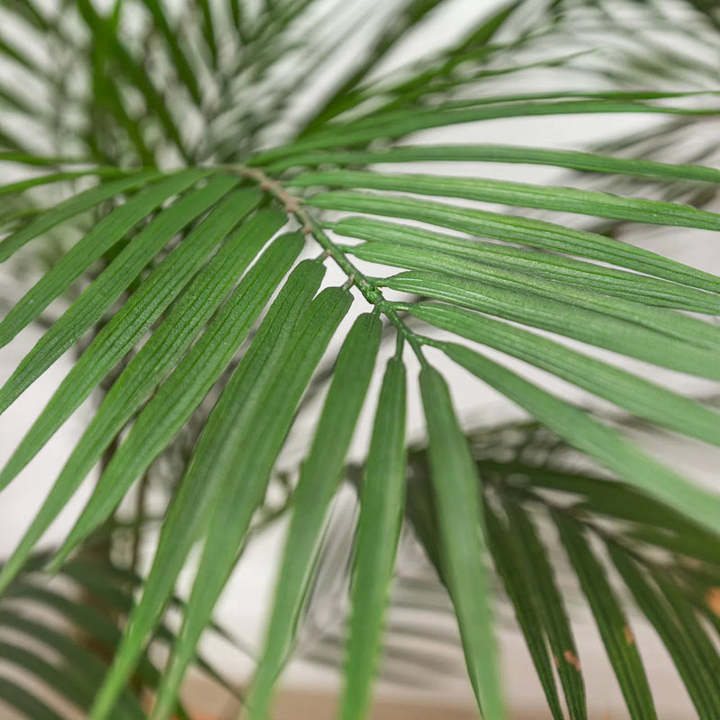 Faux Botanical Green Indoor Madagascar