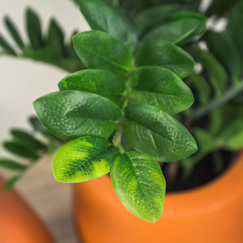 Faux Botanical Green Indoor Zamio