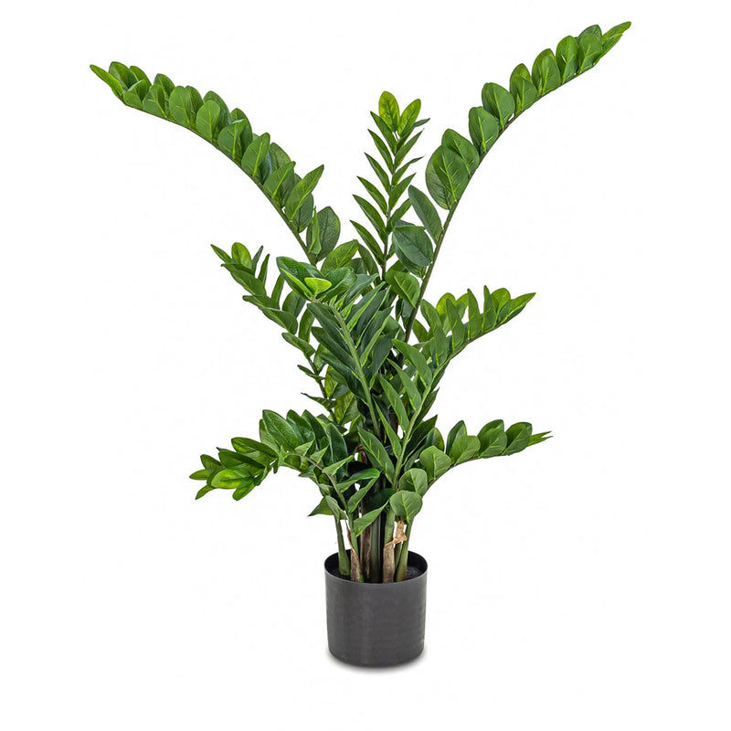 Faux Botanical Green Indoor Zamio