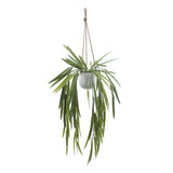 Artificial Botanical Indoor Green Hanging White Pandan