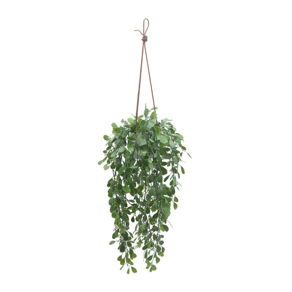 Artificial Botanical Indoor Green Hanging Boxwood Trailing Plant