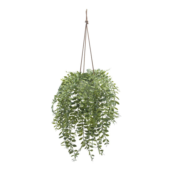 Artificial Botanical Indoor Green Hanging Rhipsalis Cereuscula Plant