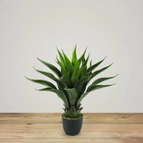 Faux Botanical Outdoor Green Eulophia