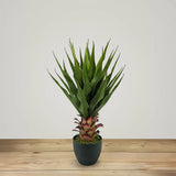 28" Faux Botanical Outdoor Green Agave