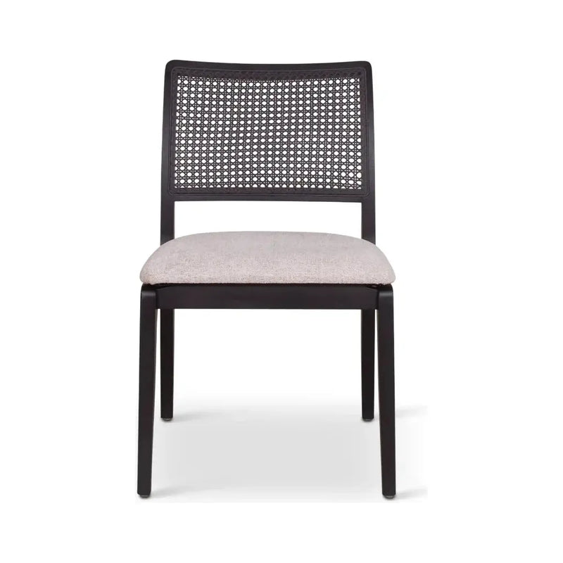 Larissa Chenille Modern Dining Chair 2PC