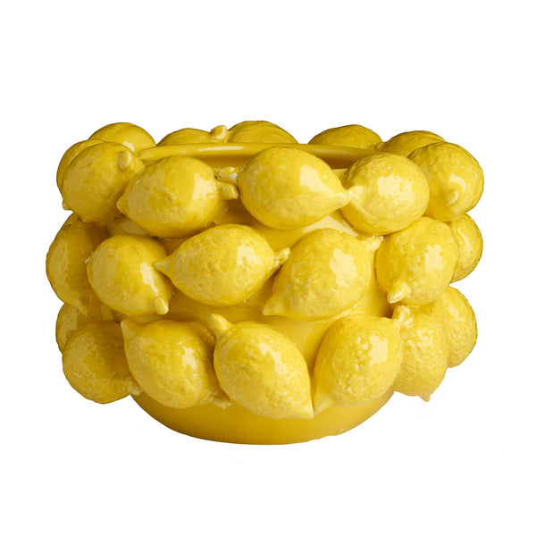 Lemon Design Ceramic Decorative Planter