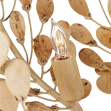 Maypan 4-Light Coco Shell Chandelier-Chandeliers-Currey & Co-LOOMLAN