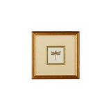 Miniature Dragonfly Gold Framed Artwork-Artwork-Chelsea House-Dragonfly II-LOOMLAN