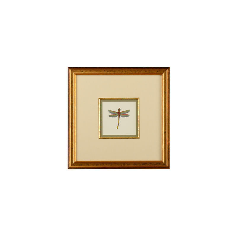 Miniature Dragonfly Gold Framed Artwork-Artwork-Chelsea House-Dragonfly II-LOOMLAN