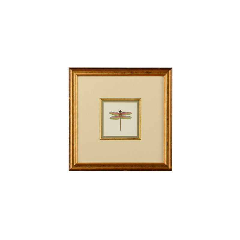 Miniature Dragonfly Gold Framed Artwork-Artwork-Chelsea House-Dragonfly III-LOOMLAN