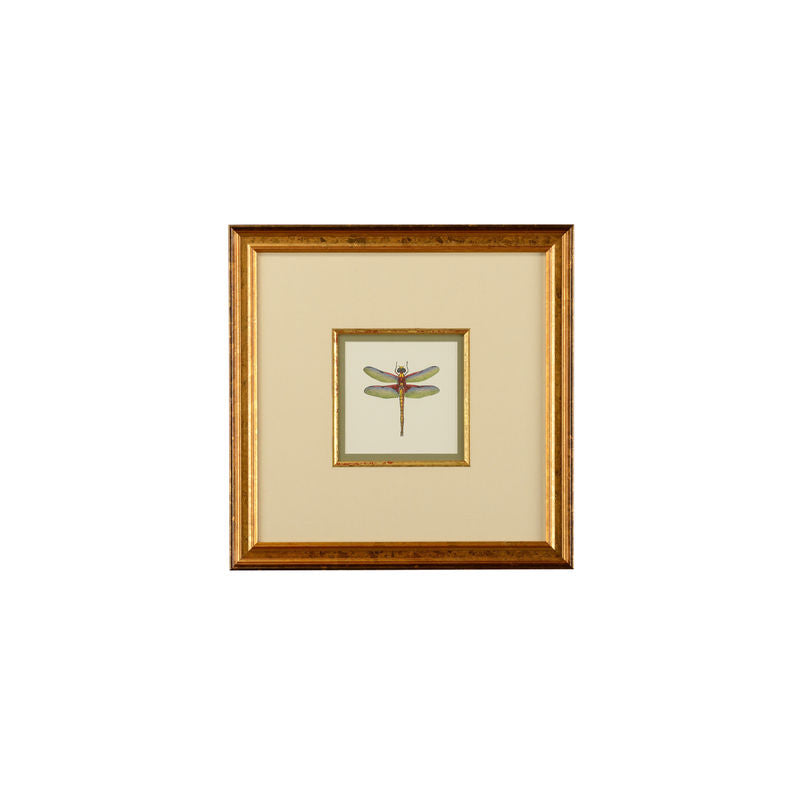 Miniature Dragonfly Gold Framed Artwork-Artwork-Chelsea House-Dragonfly IV-LOOMLAN