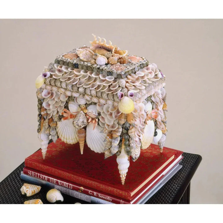 Natural Boardwalk Shell Jewelry Box - LOOMLAN - Currey & Co - Boxes & Bowls
