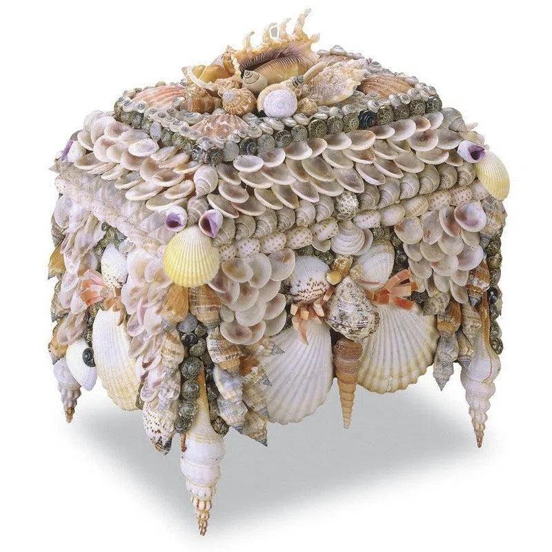 Natural Boardwalk Shell Jewelry Box