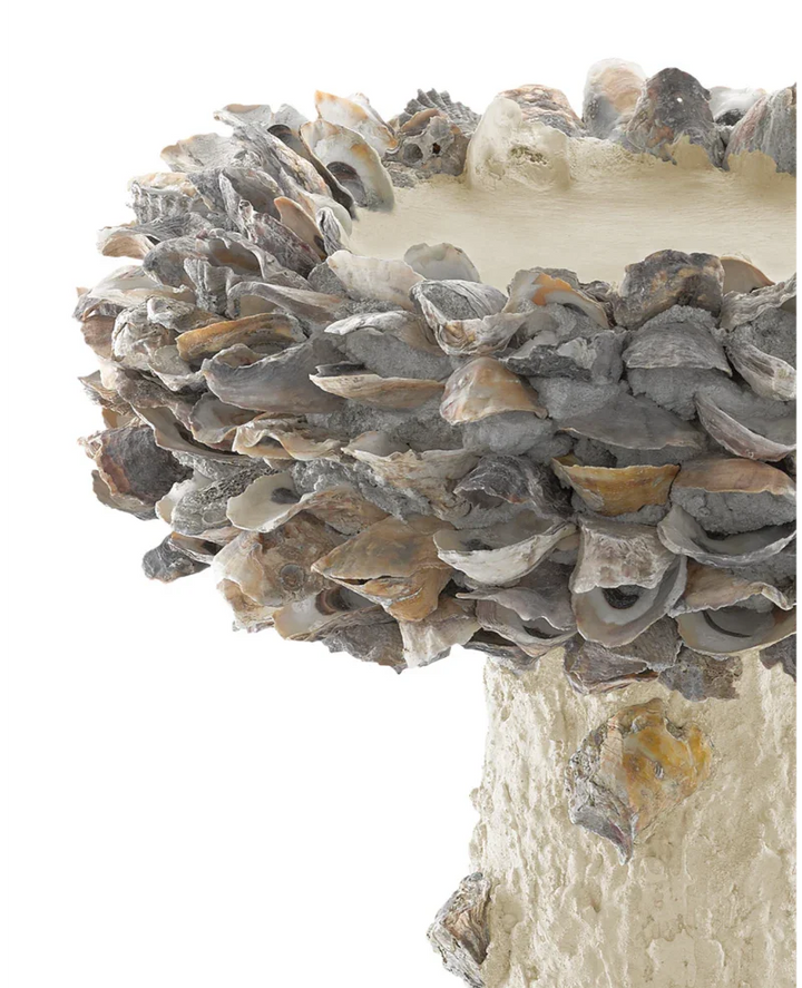 Natural Oyster Shell Medium Bird Bath-Outdoor Accessories-Currey & Co-LOOMLAN