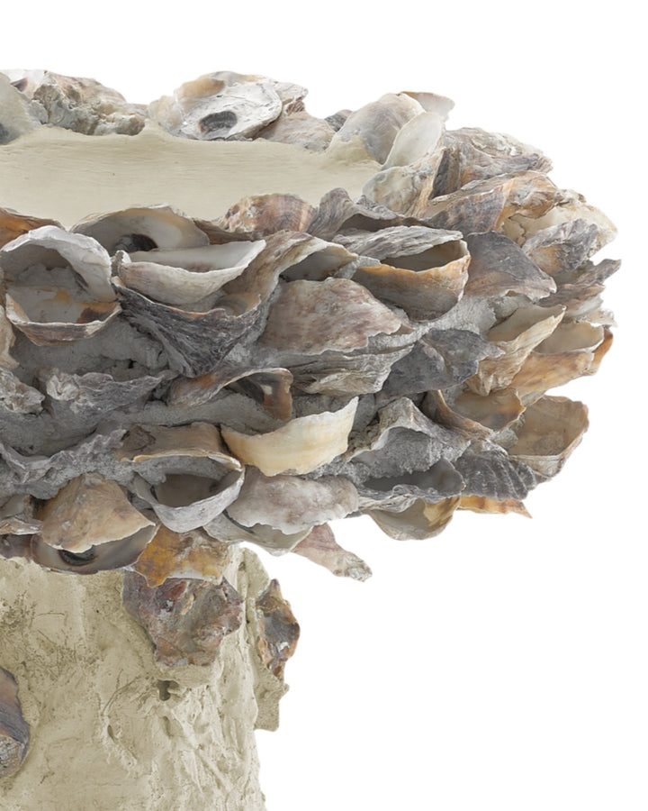 Natural Oyster Shell Small Bird Bath-Outdoor Accessories-Currey & Co-LOOMLAN