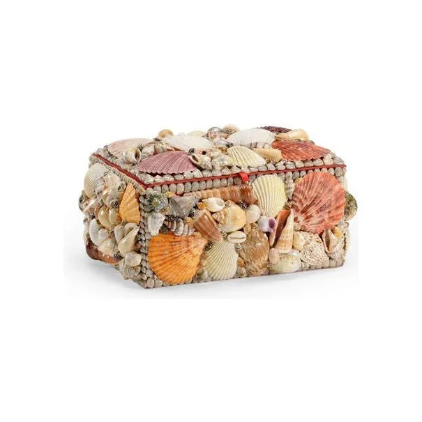 Box Made From A Shell Natural Shell Made Box - LOOMLAN